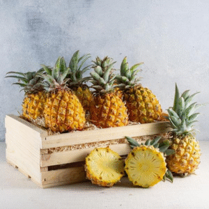 fresh pineapple for export and import