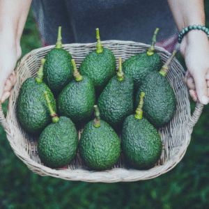 🥑premium fresh avocados