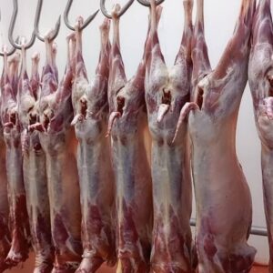 fresh goat meat