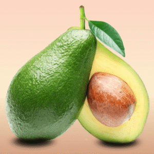 avocado leaf an antioxidant game